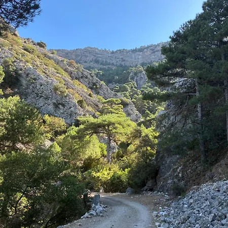 Rio Bejar ヴィラ