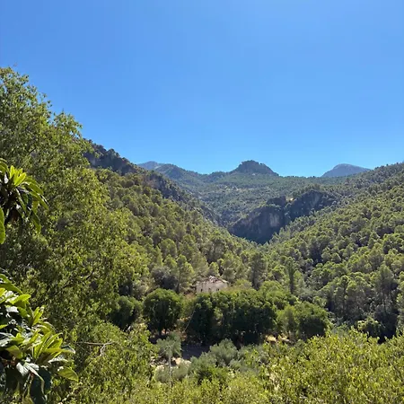 Rio Bejar