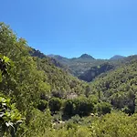 Rio Bejar