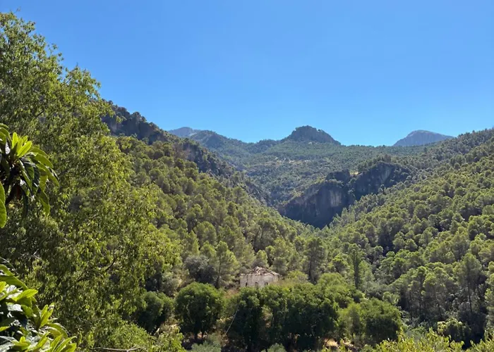 Rio Bejar