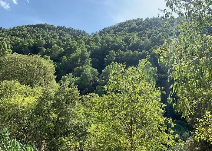Rio Bejar فيلة كيسادا